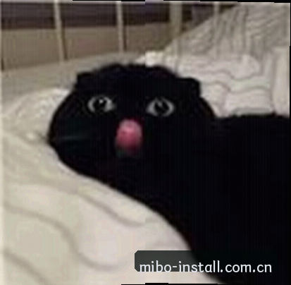 陈静